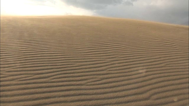 吹沙，鸟取沙丘，日本视频素材