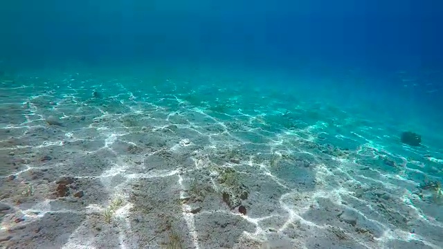 地中海水下探险4视频素材