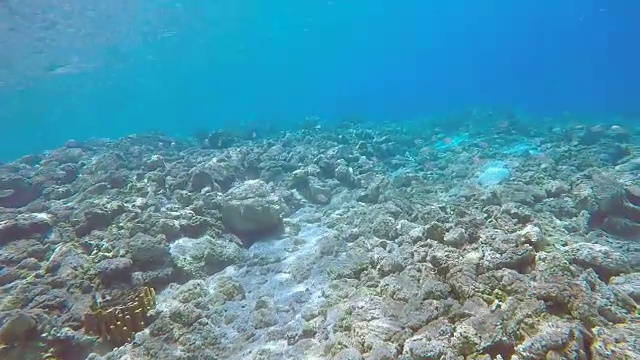 地中海水下探险5视频素材