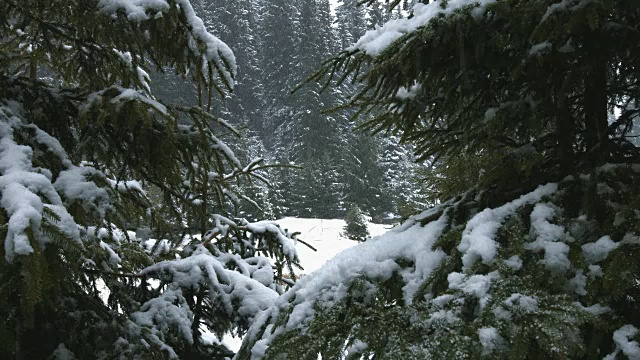 山上下雪了视频素材