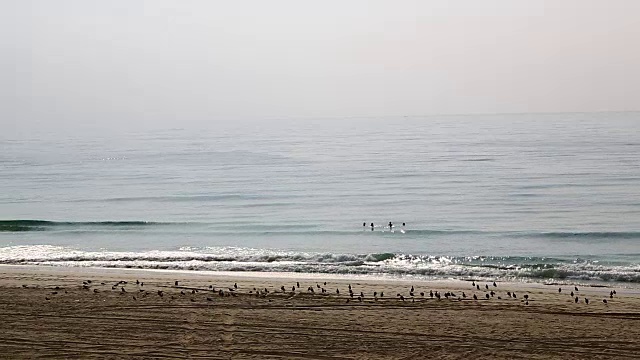 在阿曼海滩泡沫和海岸海滩泡沫视频素材