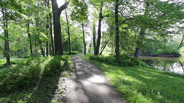 蜿蜒的道路视频素材