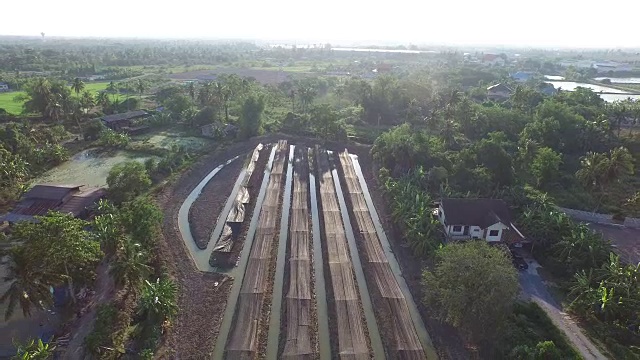 泰国BKK郊区蔬菜农场鸟瞰图视频素材