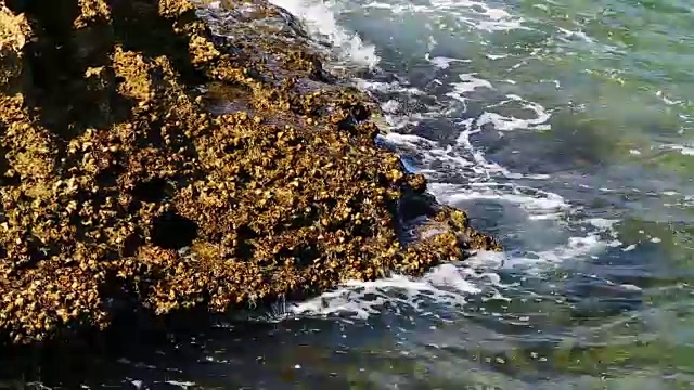 在阿曼海滩泡沫和海岸海滩泡沫视频下载