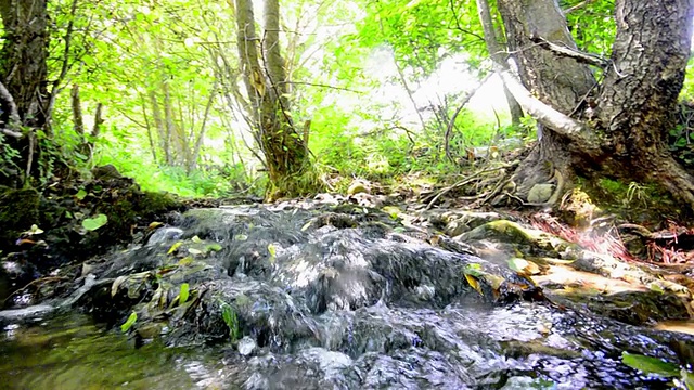 在这美丽的山景中，河流流过岩石视频素材