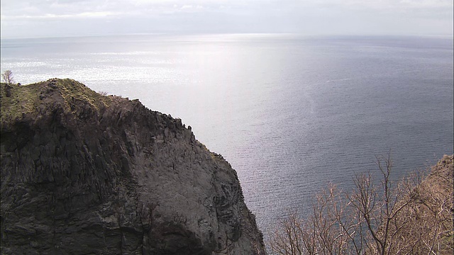 北海道的鸬鹚视频素材