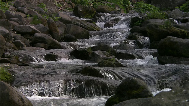 北海道的山溪视频素材