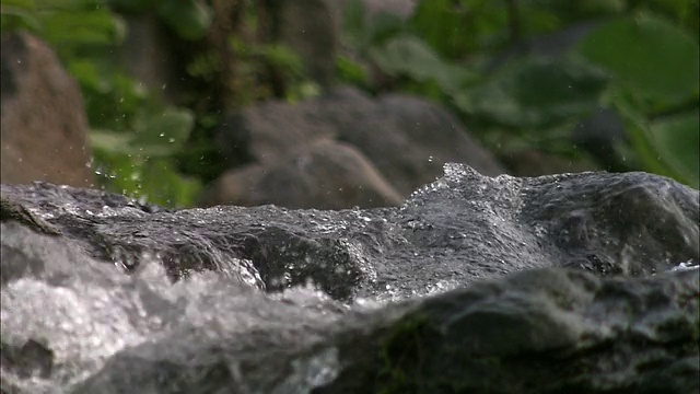 北海道的山溪视频素材