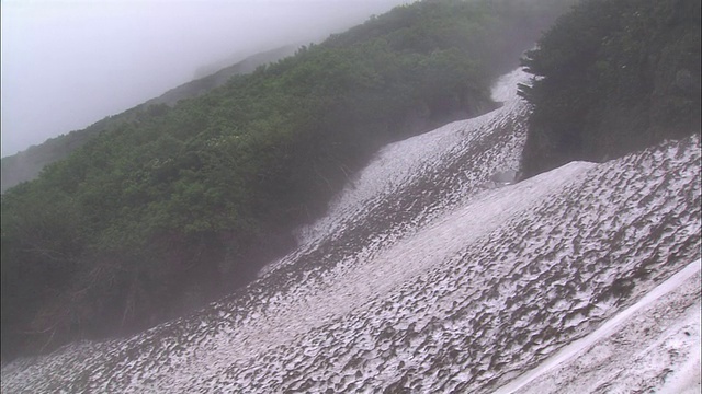 北海道罗须山上的积雪视频素材