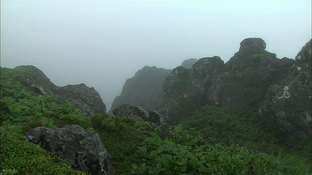 北海道罗臼山视频素材