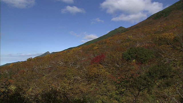 山。北海道秋天的罗臼视频素材