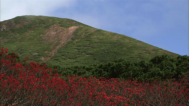 山。北海道秋天的罗臼视频素材