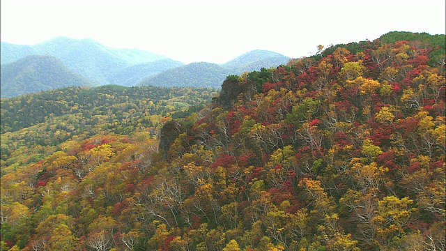 山。北海道秋天的罗臼视频素材