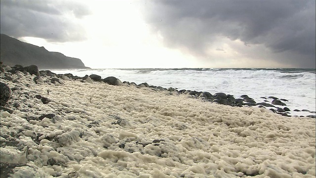 北海道知床海岸的波浪之花视频素材