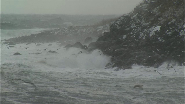 知子海岸在冬天视频素材