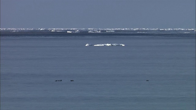 鄂霍次克海的浮冰视频素材