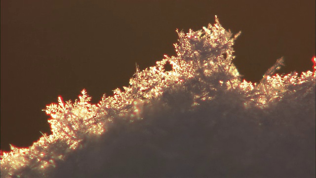 北海道日落时分的雪视频素材