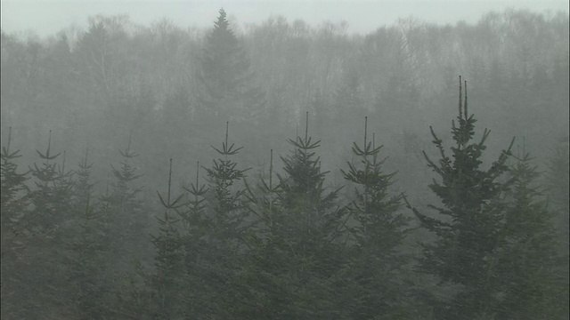 暴风雪在北海道视频素材