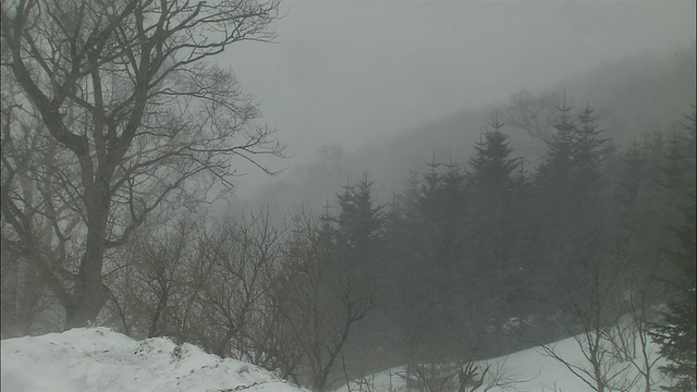 暴风雪在北海道视频素材