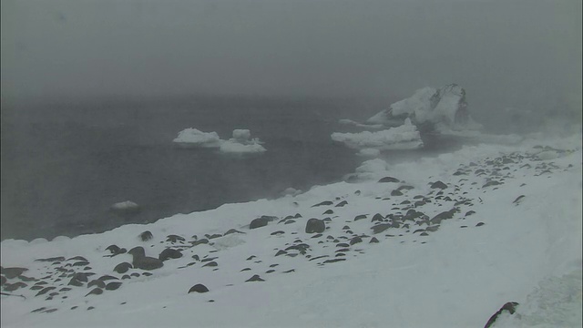 暴风雪在北海道视频素材