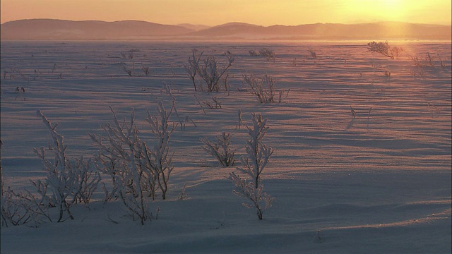 白雪皑皑的佐别平原，利尻岛，礼本岛和北海道佐别国家公园视频素材