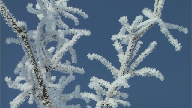 硬霜(钻石粉)，理尻岛，理本岛，和北海道的佐罗别国家公园视频素材