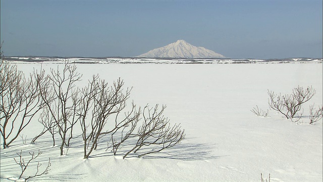 利尻山和佐罗别平原视频素材