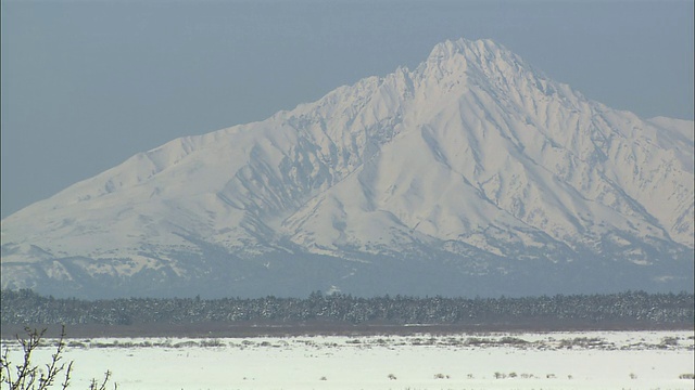 利尻山和佐罗别平原视频素材