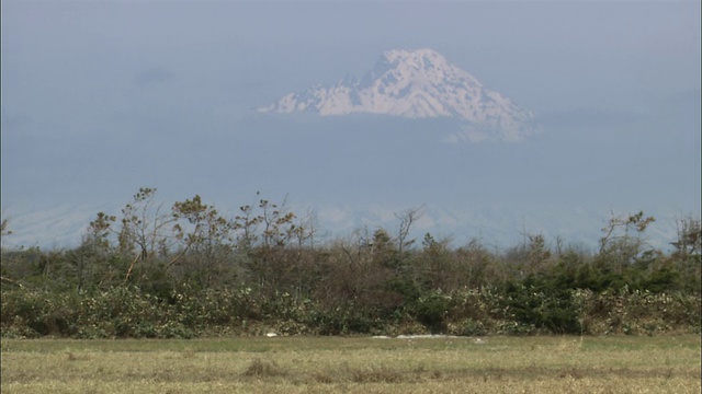 初春的萨罗别祖荒野和利尻山视频素材