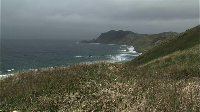 北海道礼文岛的戈罗塔角视频素材