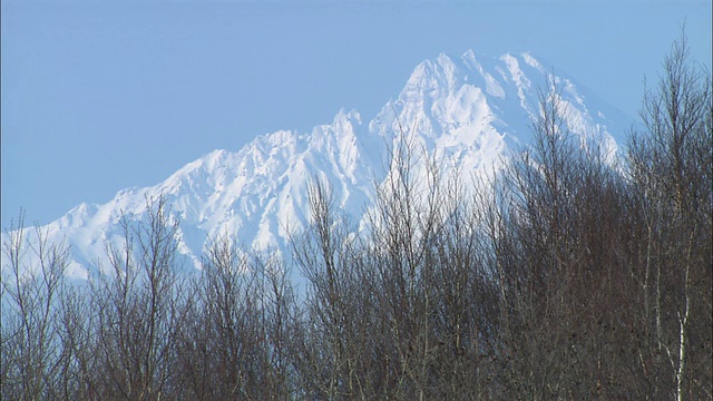 北海道佐别平原上的理尻山视频素材