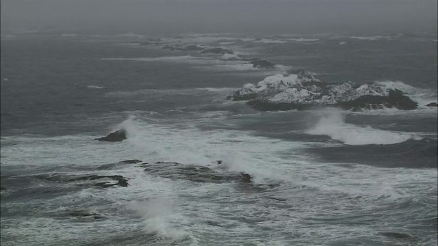 北海道礼文岛视频素材