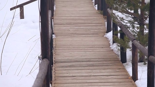 这条小路是森林里的木头做的视频素材