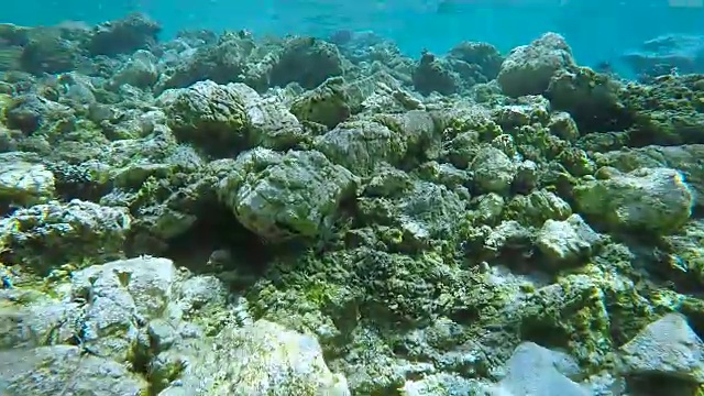 地中海水下探险视频素材