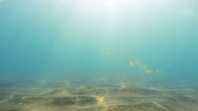 水下的背景视频素材