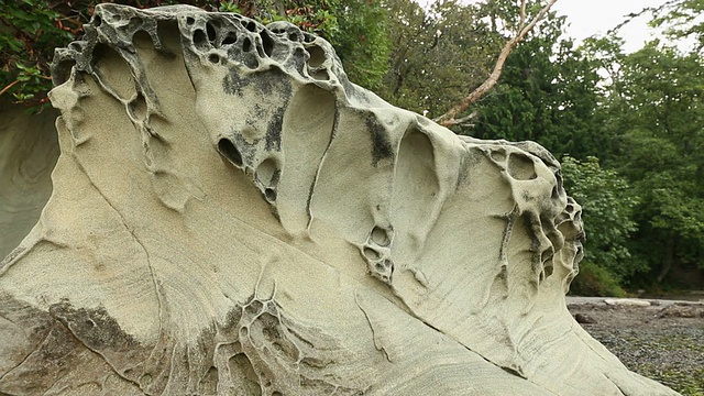 Larrabee公园海滩岩层，华盛顿州视频素材