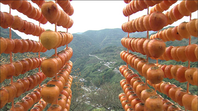 柿子干了就串成条。视频素材