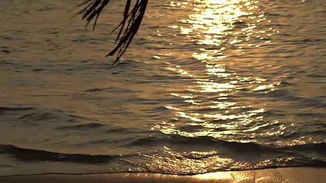 沿着冲浪线行走的女人。海上的日落。美丽的风景在海洋背景通过棕榈树枝。缓慢的运动。视频素材