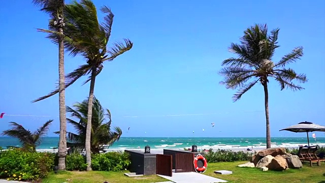 多风的海滩和椰子树与风筝板运动玩在背景海洋视频素材