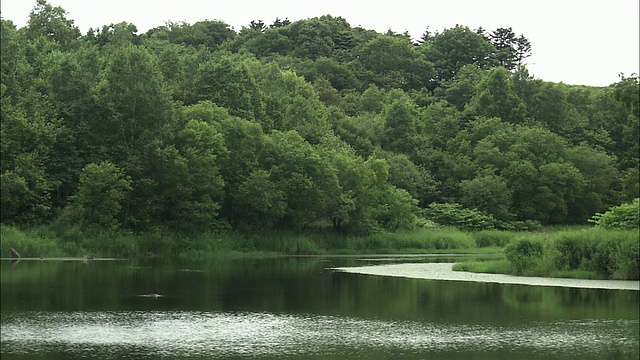 来自北海道的赤胆政治视频素材