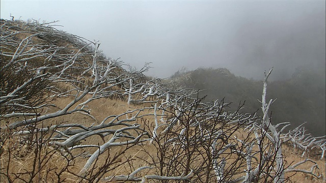 北海道的理尻山视频素材