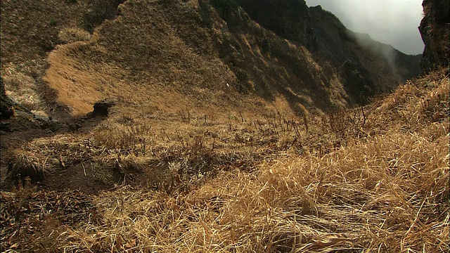 北海道的理尻山视频素材