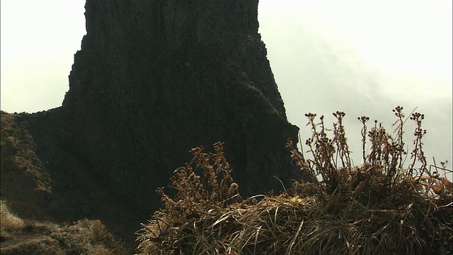 北海道的理尻山视频素材