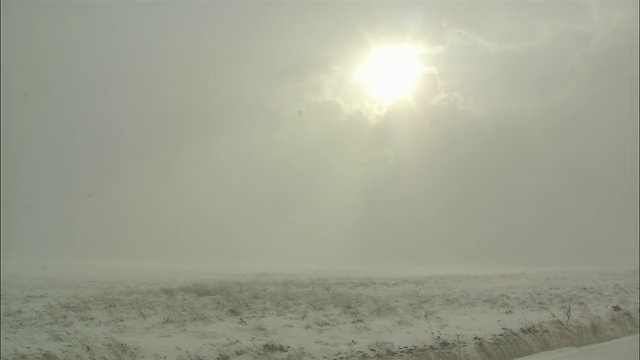 暴风雪中的萨罗别祖荒野视频素材