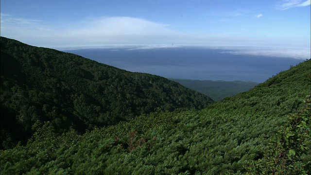 山。利尻岛在北海道视频素材