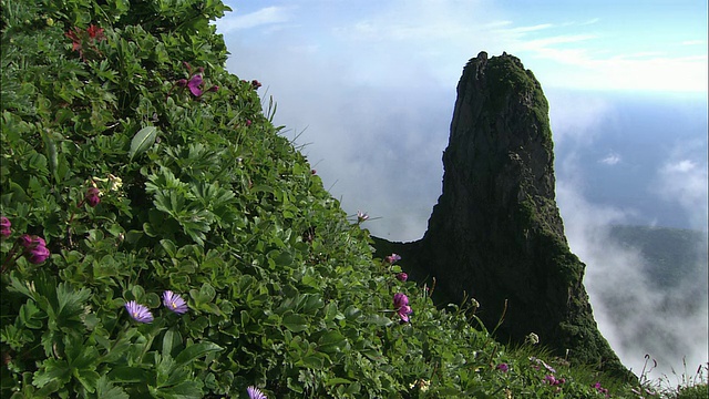 北海道理尻山上的蜡烛岩视频素材