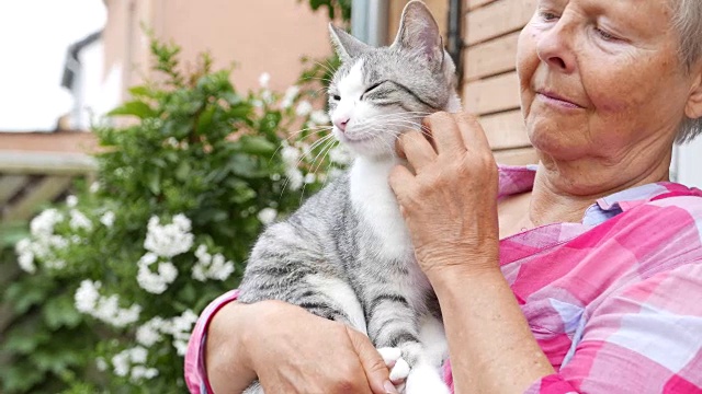 年长的女士和她的猫视频下载