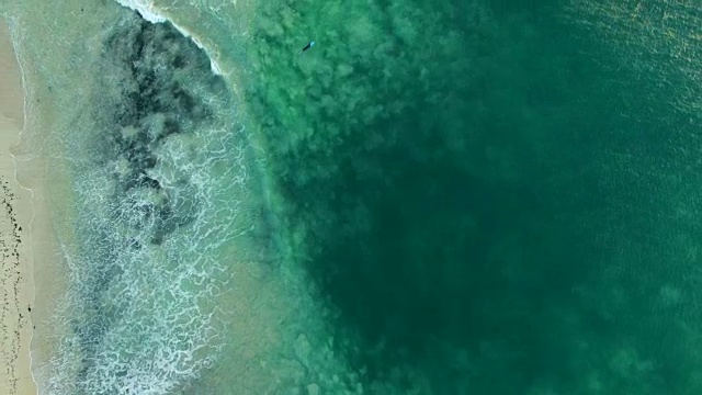 冲浪者,鸟瞰图视频素材