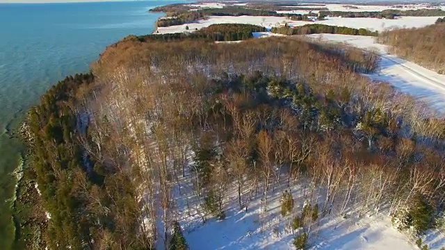 日出时美丽的冰雪覆盖的密歇根湖滨水树林视频素材