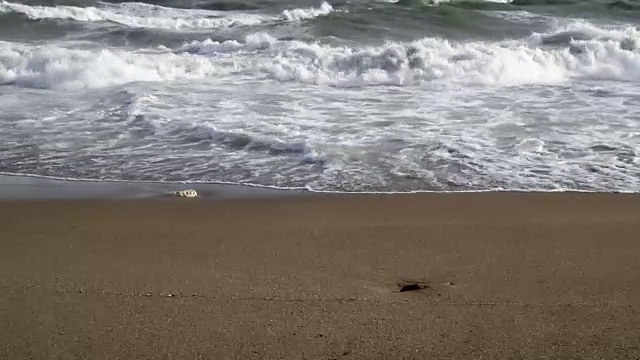 岸波视频素材